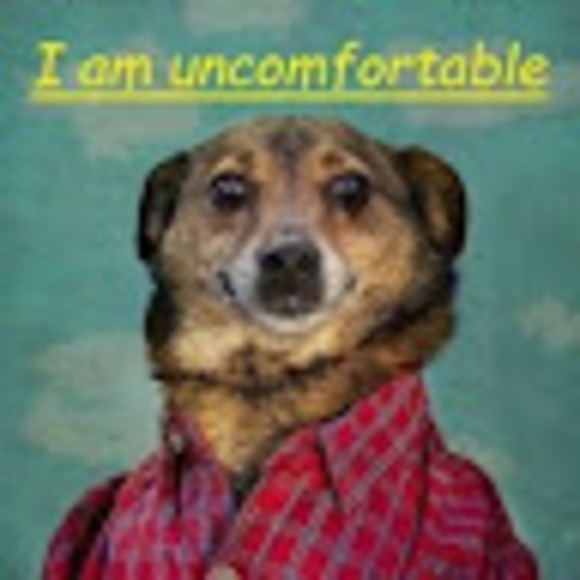 Meet your Posher, Marktin - Picture 1 of 1